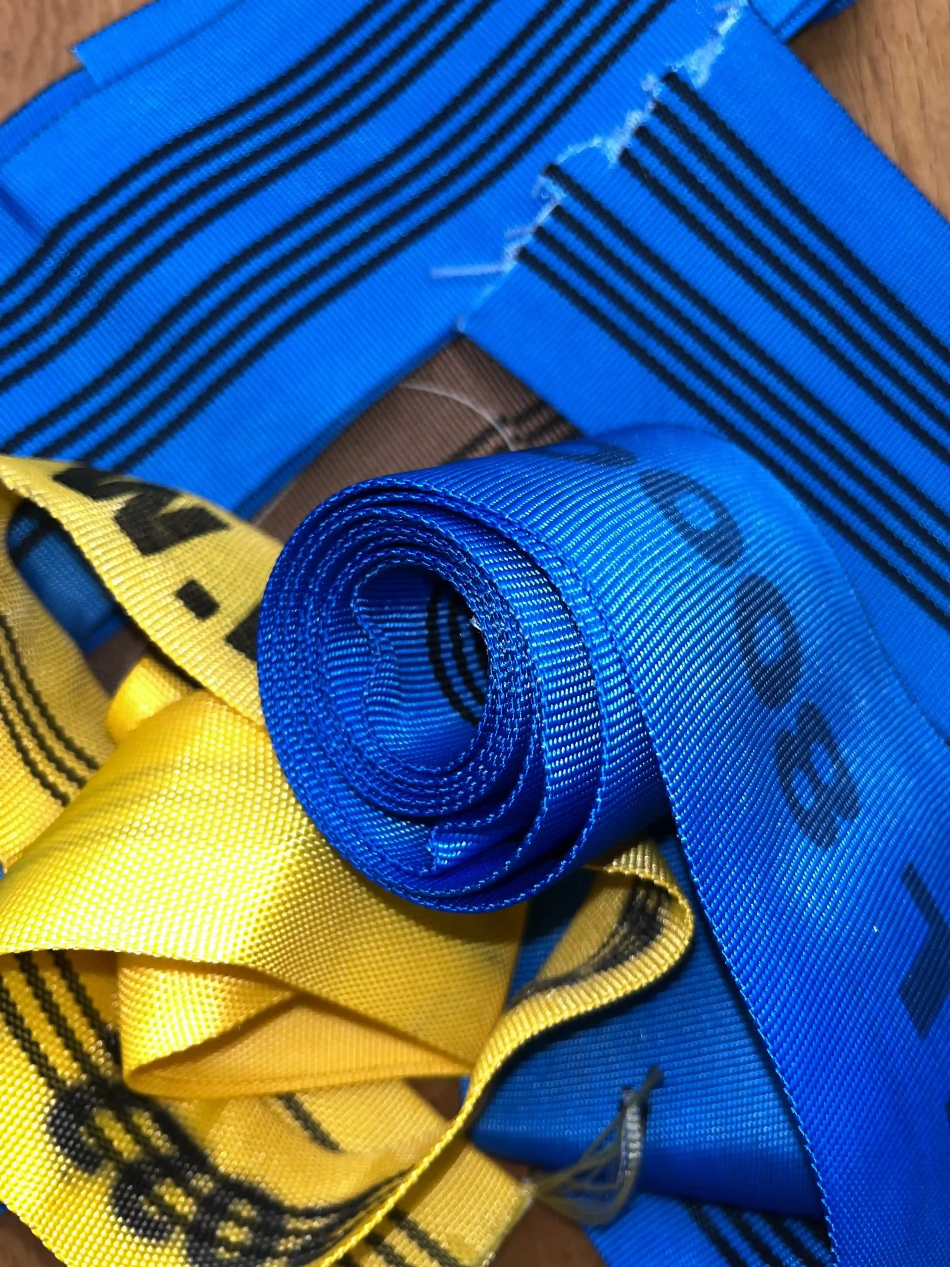 WasteBase - Polyester Straps (Blue/Yellow)