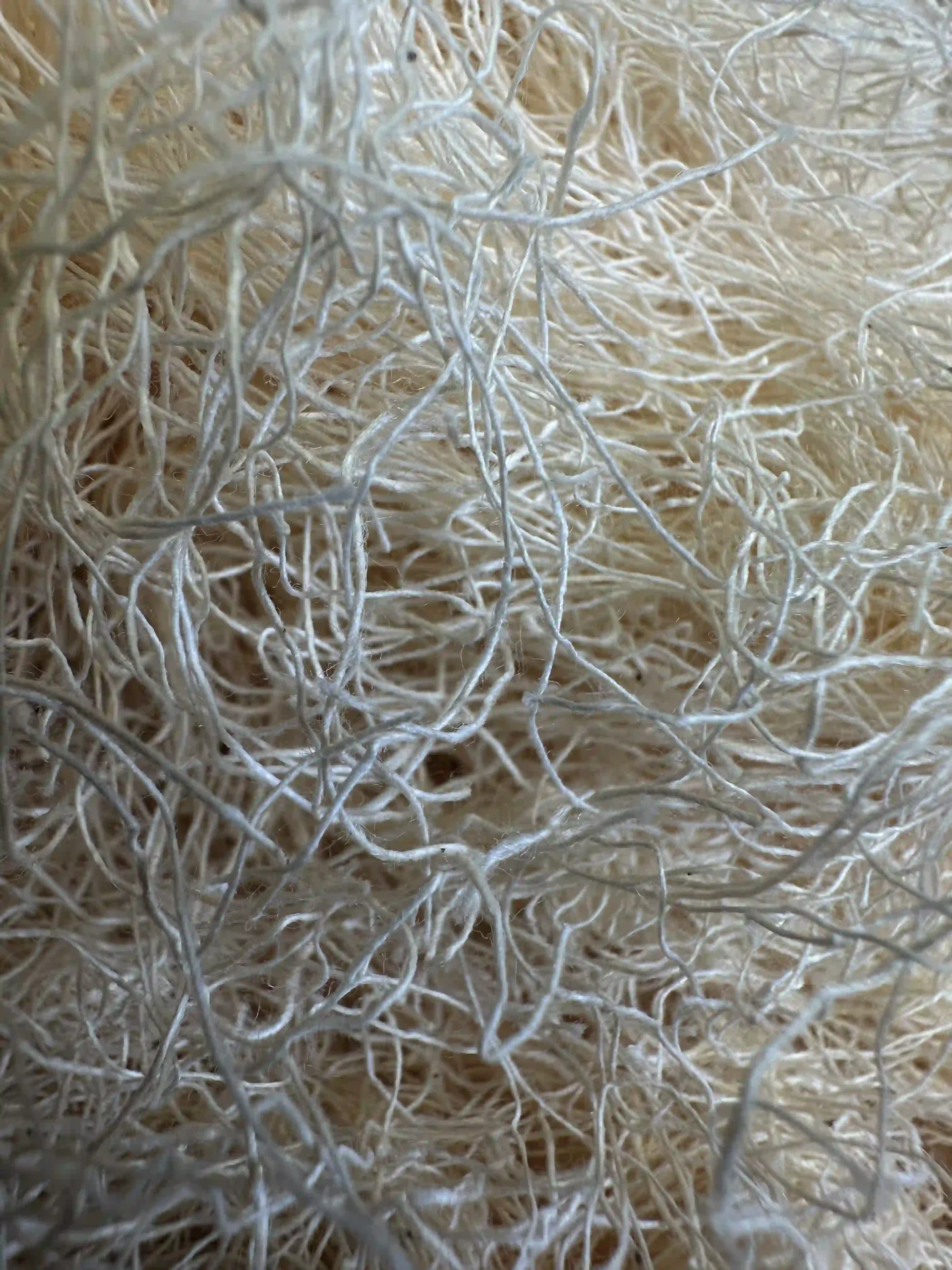 Cotton Yarn Waste (Fabric) - WasteBase 3