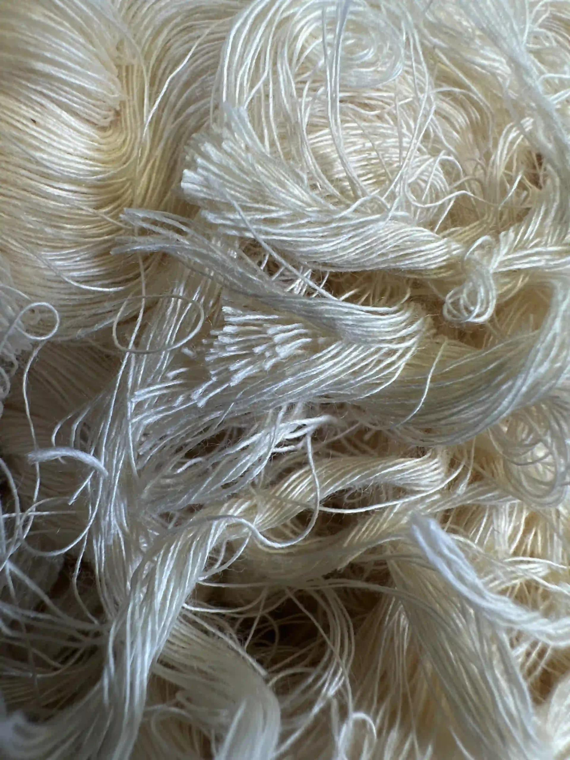 Cotton Yarn waste (Fabric) - WasteBase 3